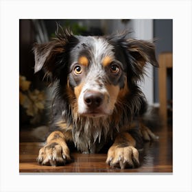 Australian Shepherd Dog Canvas Print