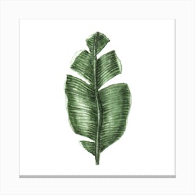 Tropical Leaf 1 Canvas Print