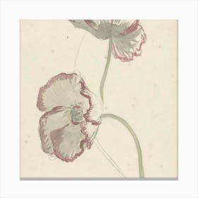 Two Poppy Flowers Canvas Print