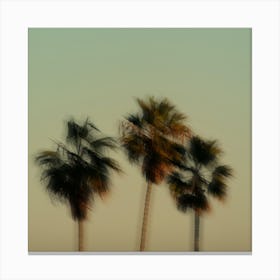 California Palm Trees Square Blurry Pastel Colors Minimalist Canvas Print