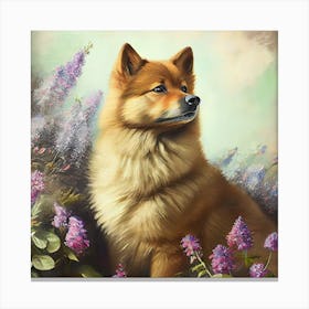 Samoyed Canvas Print