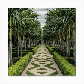 Pathway Lined With Palm Trees Canvas Print