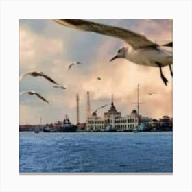 Seagulls Flying Canvas Print
