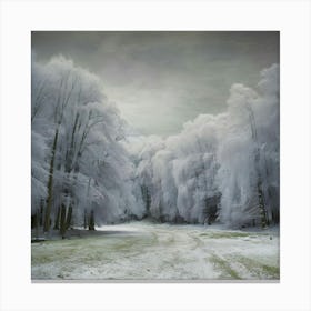 Frosty Forest Canvas Print