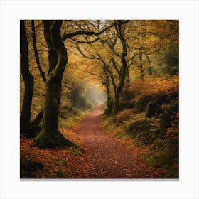 Path In The Woods 3 Canvas Print