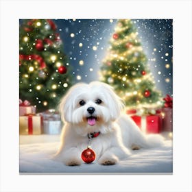 Fluffy Maltese and Christmas Trees Canvas Print