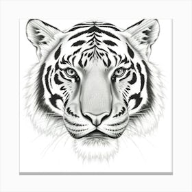 Tiger Head Toile