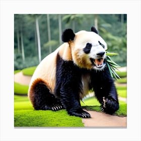 Panda Bear In The Forest Canvas Print