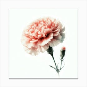 Carnation Canvas Print