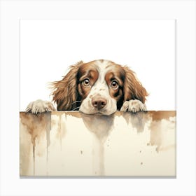 Spaniel American 2 Canvas Print