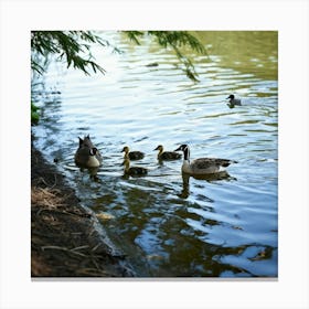 Family Of Geese In The Pond Canvas Print