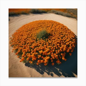 Namibia Canvas Print