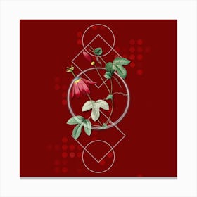 Vintage Red Passion Flower Botanical with Geometric Line Motif and Dot Pattern n.0333 Canvas Print