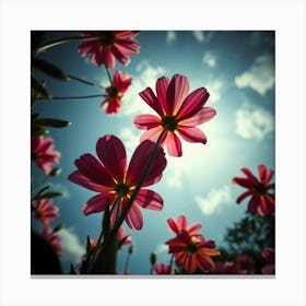 Cosmos Canvas Print