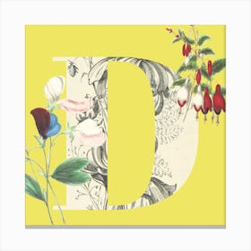 Botanical D Canvas Print