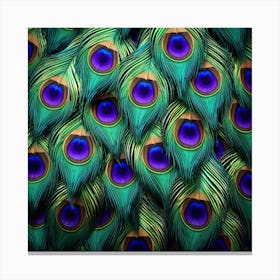 Peacock Feathers 5 Canvas Print