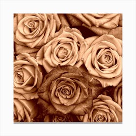 Sepia Roses Canvas Print