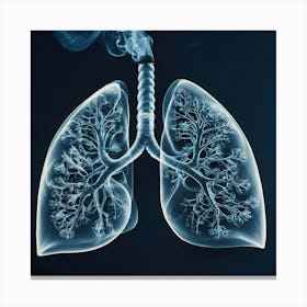 Lungs Stock Videos & Royalty-Free Footage 29 Canvas Print