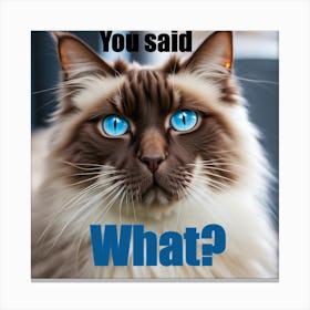 You said what? cat Canvas Print