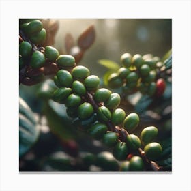 Green Coffee Beans 1 Canvas Print