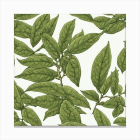 Tea Leaves Art 2 Canvas Print