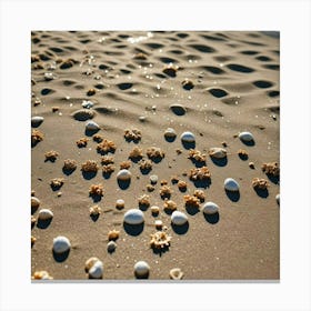 Sand, Beach, And Shells 1 Canvas Print