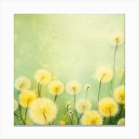 Dandelion Background 3 Canvas Print