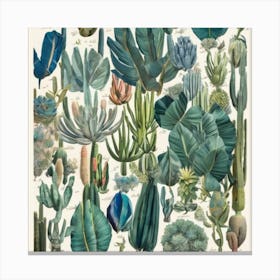 Botanical Cactus Print Jardin Majorelle, Morocco Vintage Botanical Art Print Canvas Print