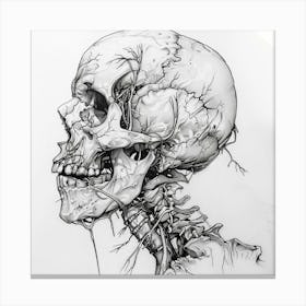 Skull Drawing 2 Canvas Print