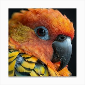 Portrait Of A Parrot 3 Canvas Print