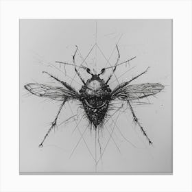 'Fly' Canvas Print