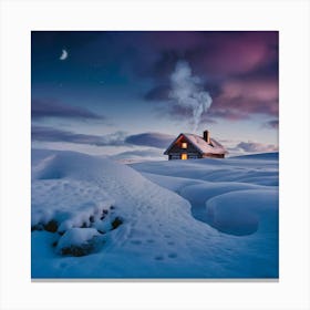 House On The Snow Canvas Print