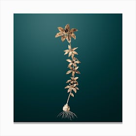 Gold Botanical Wood Lily on Dark Teal n.4082 Canvas Print