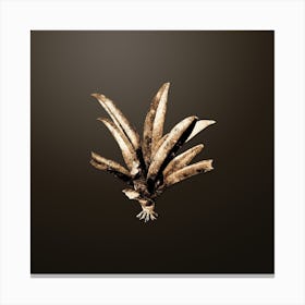 Gold Botanical Boat Lily on Chocolate Brown n.2093 Canvas Print