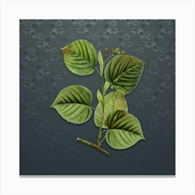 Vintage Linden Tree Botanical on Slate Gray Pattern n.1163 Canvas Print