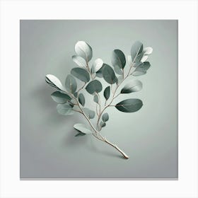 Silver eucalyptus branch, Vector art 5 Canvas Print