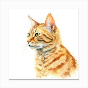 California Spangled Gold Cat Portrait 2 Canvas Print