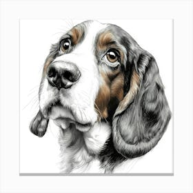 Basset Hound 1 Canvas Print