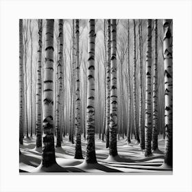 Birch Forest 7 Canvas Print