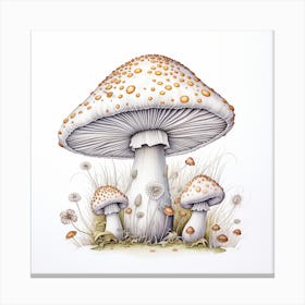 Mushrooms On A White Background Canvas Print