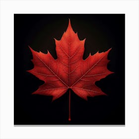 Maple Leaf On Black Background Canvas Print