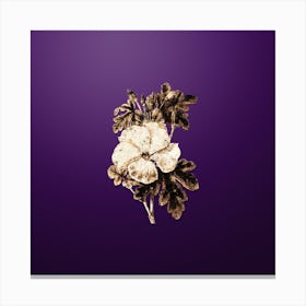 Gold Botanical Wray's Hibiscus Flower on Royal Purple n.4815 Canvas Print