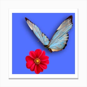 Butterfly going to suck the juice of flowers design Canvas Print