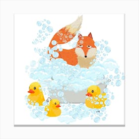 Fox enjoying bath time Canvas Print