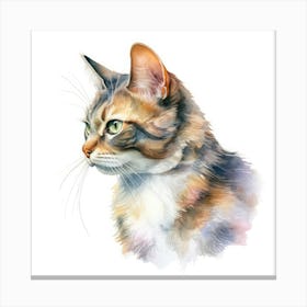Ukrainian Levkoy Cat Portrait 1 Canvas Print