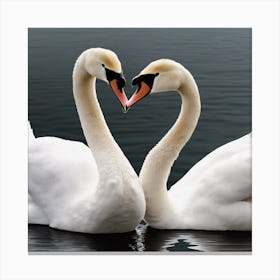 Swans In Love Canvas Print