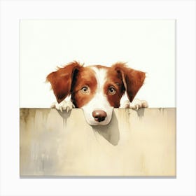 Setter Irish Red 3 Canvas Print