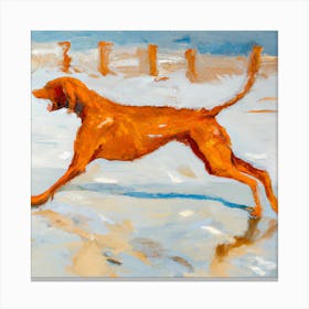 Dog On The Beach 5 Canvas Print