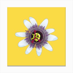 Yellow Passionfruit Flower Square Canvas Print
