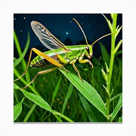 Crickets Insects Chirping Jumping Green Legs Antennae Noise Hopper Herbivores Garden Fiel (8) Canvas Print